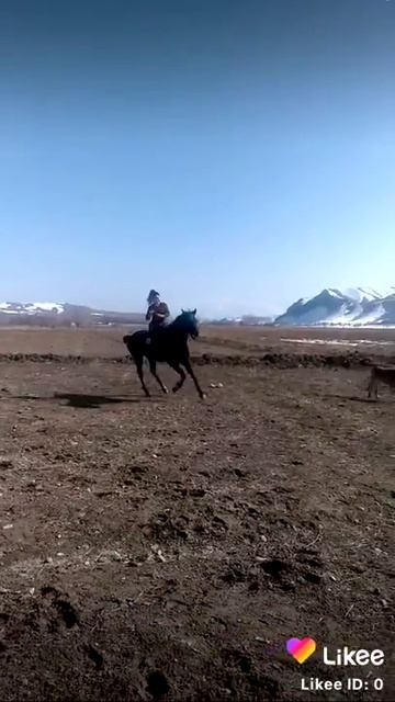 Девушка с конём смотреть онлайн