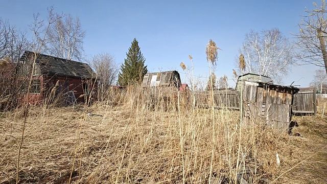 1000053450.mp4 смотреть онлайн