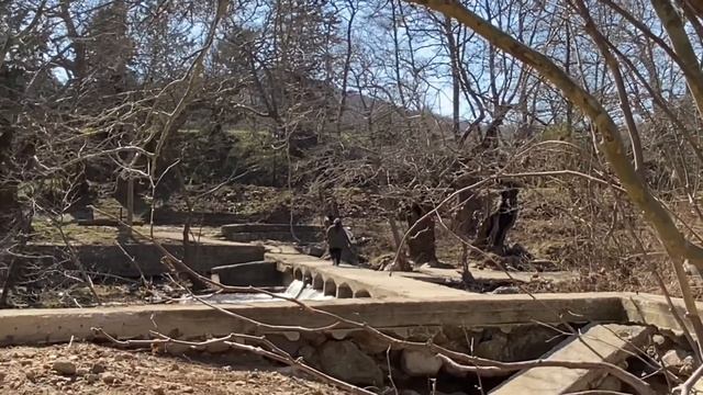 "Непрочитанная книга" Сариду Нани, | "The Unread Book" by Saridou Nani смотреть онлайн