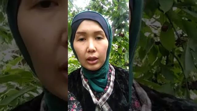 Авазбек кызы Динара гиларс терип уста багып журуп эле директор болгон 🤩🤩🤗🤗🤗 смотреть онлайн