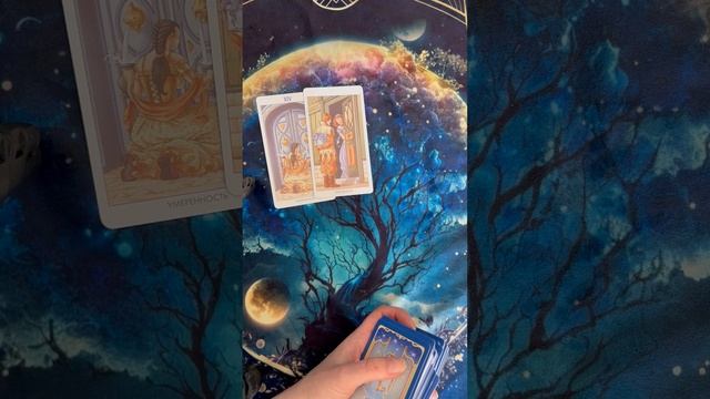 Какой путь выбрать ?