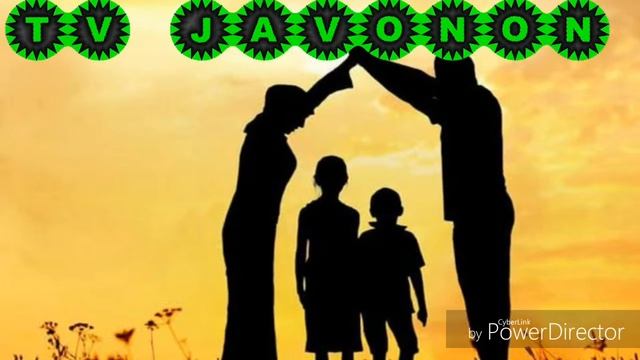 TV JAVONON ВОЛИДАЙН