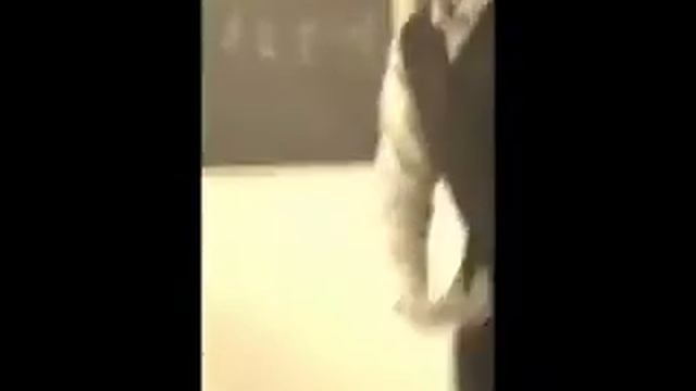 егор жжот