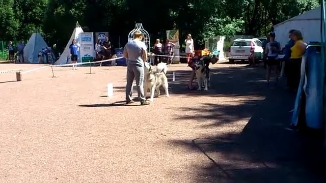 Повелители севера 2016 3