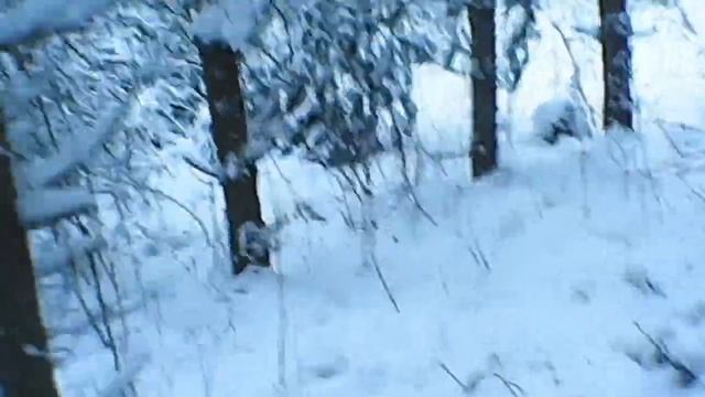 солнечный,морозный день,прогуляться нам не лень