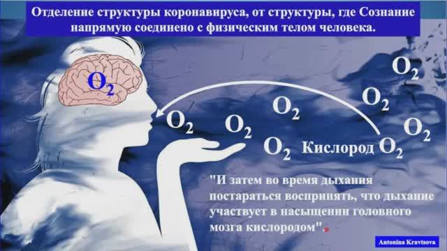 ВИРУСЫ. Метод 1. Отделение вируса от Сознания по технологии Григория Грабового, 2020