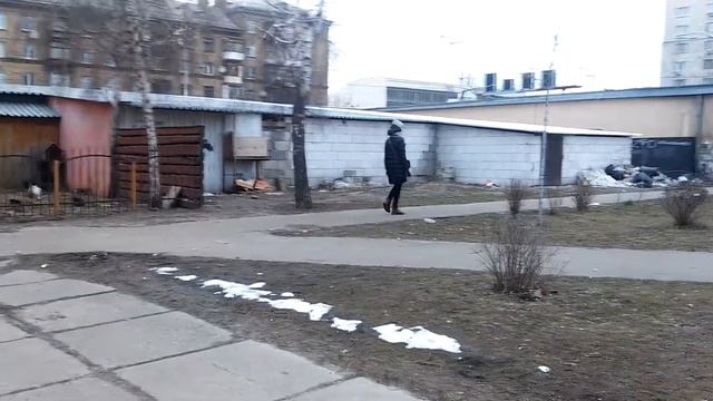 Про здорового Лба, что в котика снежком бросить хотел. 14 марта 2021 г.