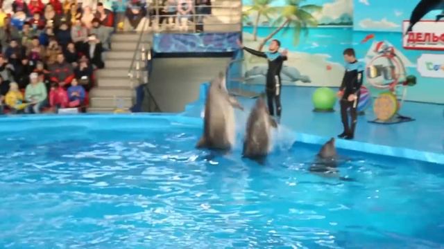 TELESHKOFEST 2017 Сочи смотреть онлайн