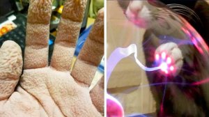 Что нас ждёт, если