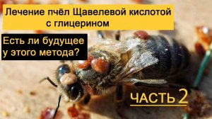 О борьбе с клещом Варроа: ЧАСТЬ 2/ Боб Бинни, Грег Роджерс (автоперевод)