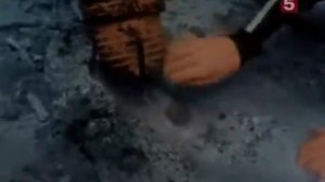 07 1969 Сокровища морей - Подводная одиссея команды Кусто