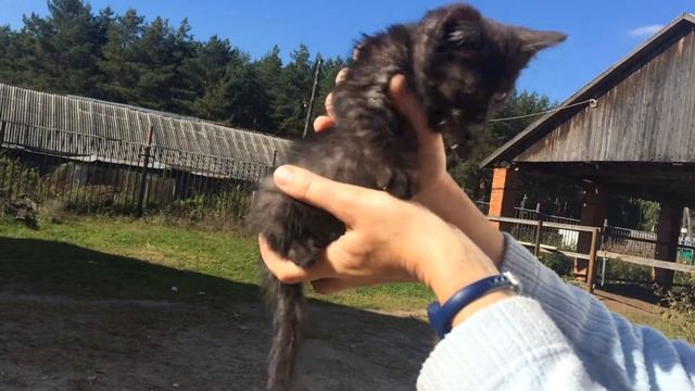 Черная с дымком, 2 месяца Кск атлас парк отель смотреть онлайн