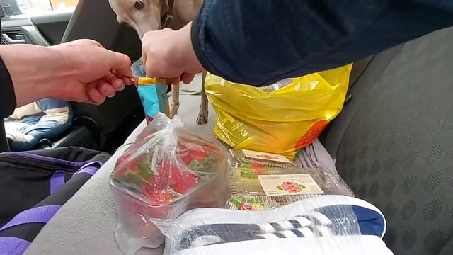 Влог "Я испугалась 😱/хорошо на даче 3 мая 2021." смотреть онлайн