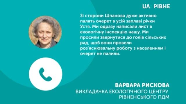 На Рівненщині вперше зафіксували гніздування великої чепури смотреть онлайн
