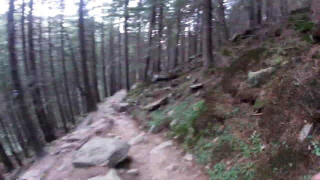 Піший похід в Карпати. Частина 2: озеро Бребенескул, гора Піп Іван, Вухатий Камінь.