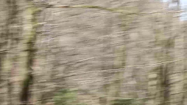 12 апреля 2023 г.(2) смотреть онлайн