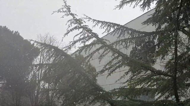 Партенит. Снег ❄ 18 января 2022 смотреть онлайн