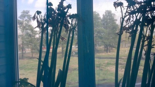 сыночек идёт на день рождения.