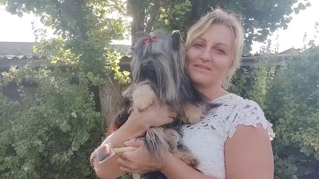 ‼️ШЕДЕВР🔥 Красавчик Дени в поиске семьи Продажа доставка по миру+79788972514💥цена 100т.р смотреть онлайн