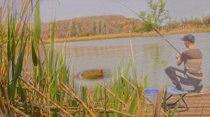 НЕОЖИДАННО КЛЮНУЛО ОНО! НАШЕЛ НОВОЕ МЕСТО ДЛЯ ЛОВЛИ КАРАСЯ С БЕРЕГА! Весенняя рыбалка на поплавок