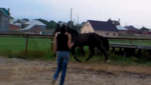 Помпей рысь.MP4