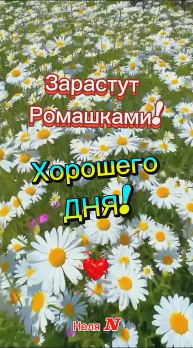 Доброго Дня. ВидеоОткрытки на каждый день смотреть онлайн