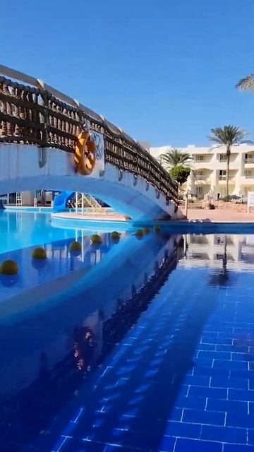 Быстрый обзор Aurora Oriental Resort в Шарме #море #обзор #путешествия #travel #отдых смотреть онлайн