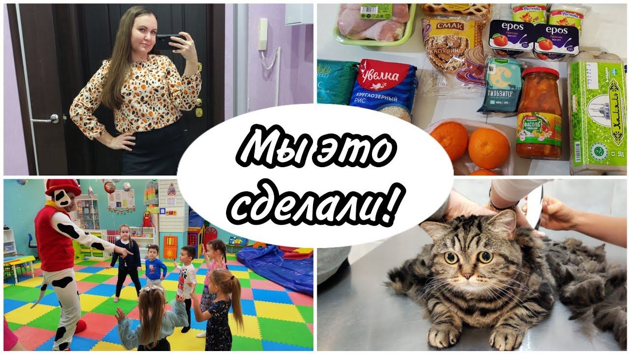 Гуляем на ДР Грумминг для нашей Джесси⬛. Обзоры покупок с OZON , Монетка. Работаю и дома тоже смотреть онлайн