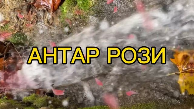 ЖУДА КУЧЛИ ДУО ЭКАН | бойлик дуоси, дуолар суралар дуолар канали бой булиш дуоси | Marwan Al Dostak смотреть онлайн