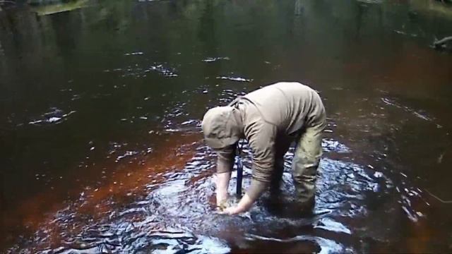 Осенняя река, рыба и летающие шнуры