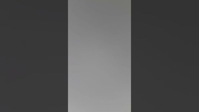 Ты усыновил меня