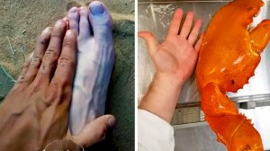 Как сравнение меняет восприятие мира