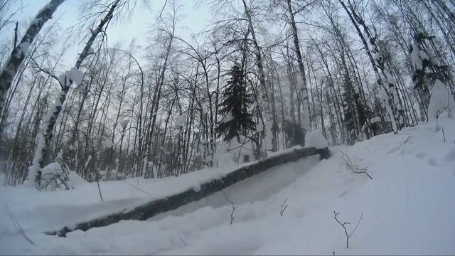 Губаха. 23.01.18 Пухлое деревце. смотреть онлайн