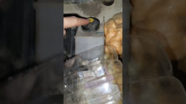 Прокачка сцепления DAF XF 105