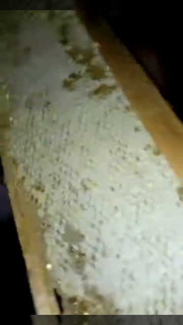 Сотовый Мёд 2016