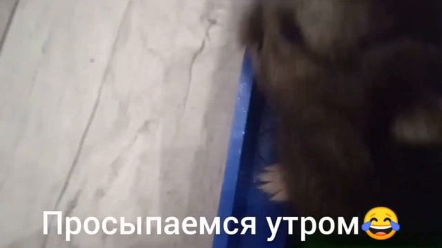 Видео которые я не опубликовал! смотреть онлайн