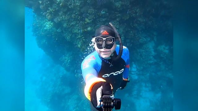 Ingolstadt FreeDivers смотреть онлайн