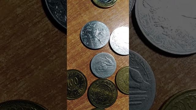 硬币,монеты, Coins,espèce,عُمْلَة,Metálico,