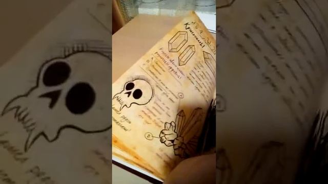 Обзор на дневник из гравити фолз