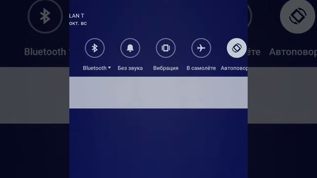 Я люблю письки