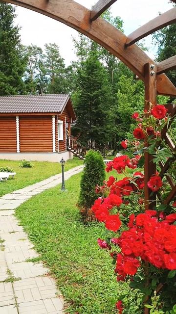 А Вы уже выбрали свой домик в лесу? смотреть онлайн