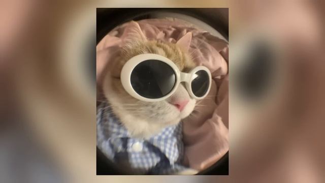 •ПЛЕЙЛИСТ ИЗ ТВОЕГО ДЕТСТВА• ( версия BIG)