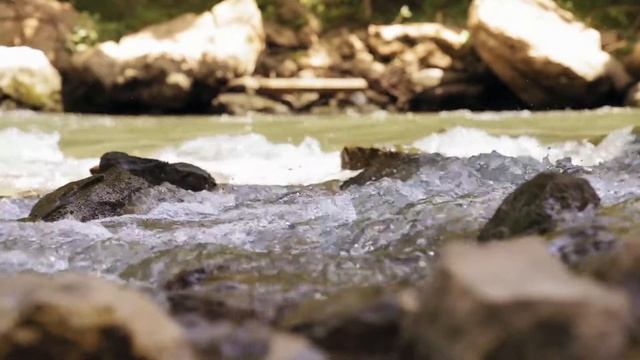 1H Relax-Bruit De L'eau Qui Coule-calme-rivière-spa-relaxation-détente Sommeil-Méditation-Zen-Yoga