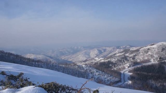 Зимняя прогулка