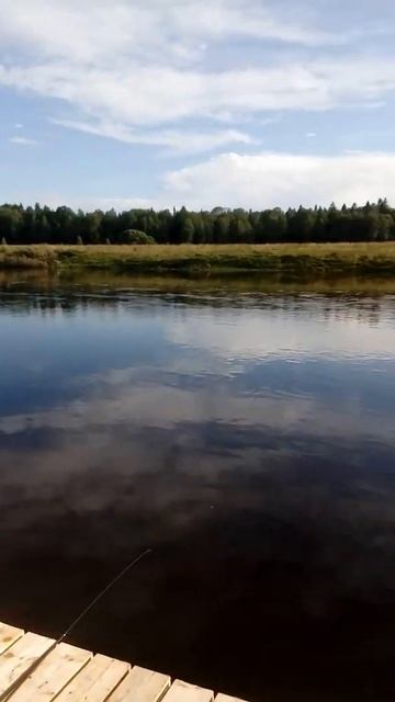 Разлив на Угре июль 2020 смотреть онлайн