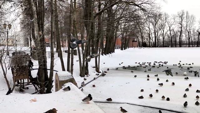 На пруду Николо-Угоешского монастыря в городе Дзержинском.