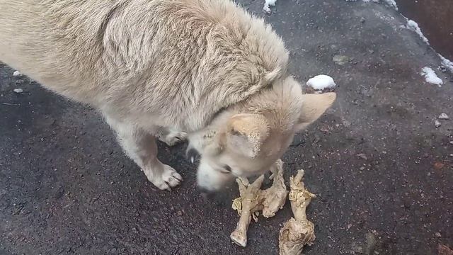 Людочка кушает под снежком!!!