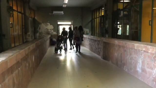 Скопје ЗОО / Skopje ZOO смотреть онлайн