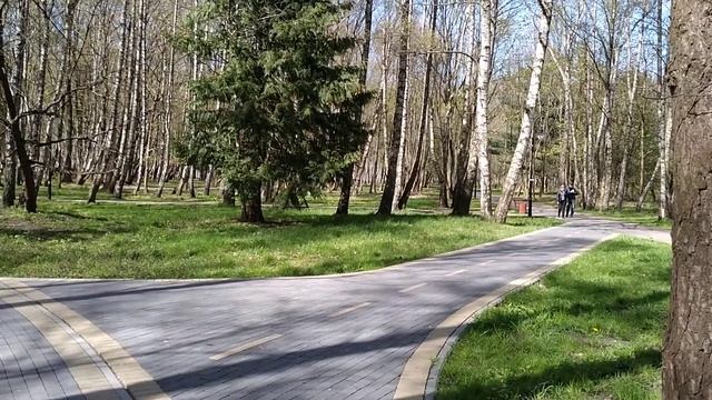 Центральный парк в Светлогорске смотреть онлайн