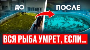 Вода в УЗВ стала мутной_ Срочно сделай ЭТО! _ Экстренный ПЛАН СПАСЕНИЯ вашей рыбы за 10 минут